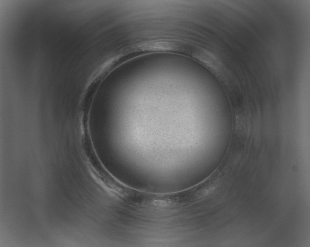 X0000068280302200604211118
