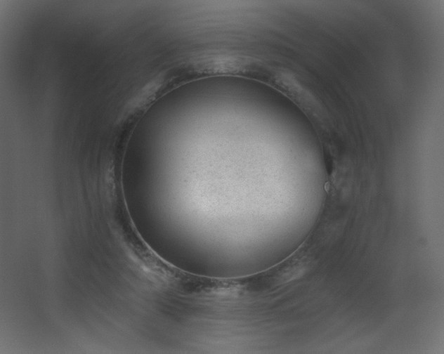 X0000068280306200604211118