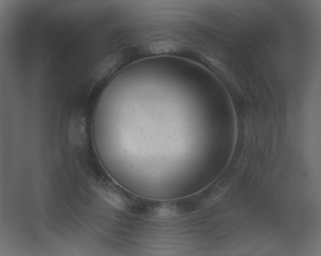 X0000068280308200604211118