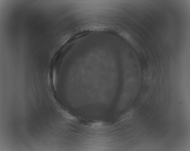 X0000068280309200604211118