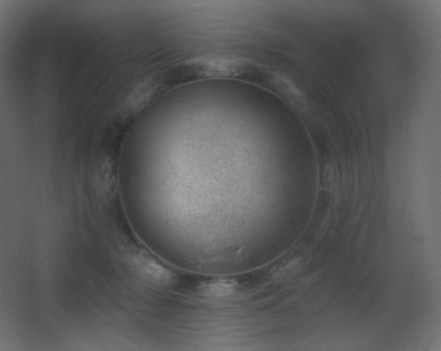 X0000068280318200604211118