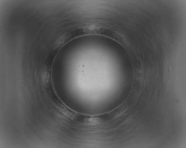 X0000068280324200604211118