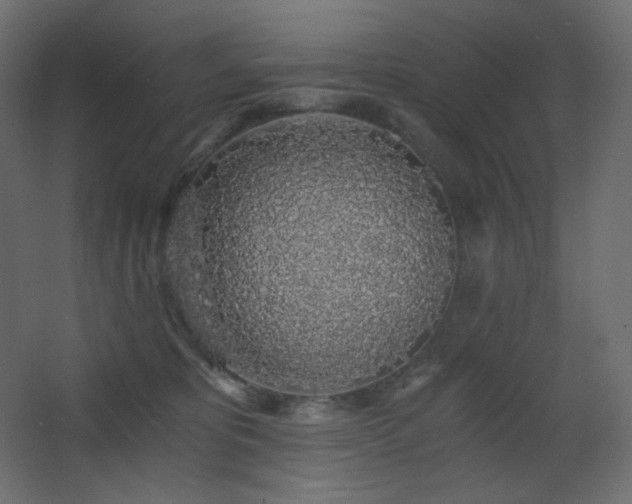 X0000068280325200604211118