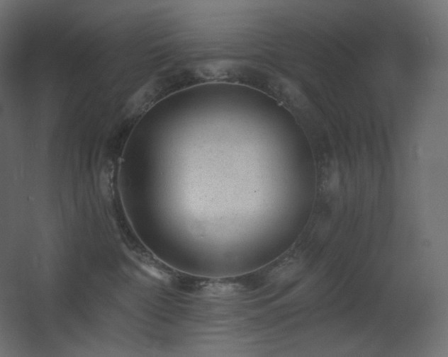 X0000068280332200604211117