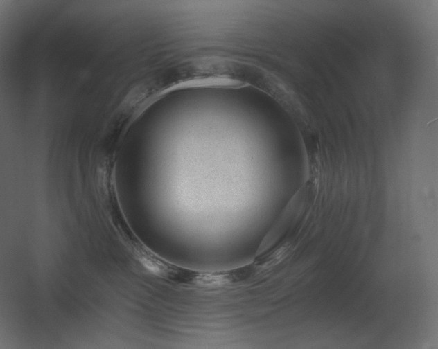 X0000068280333200604211117