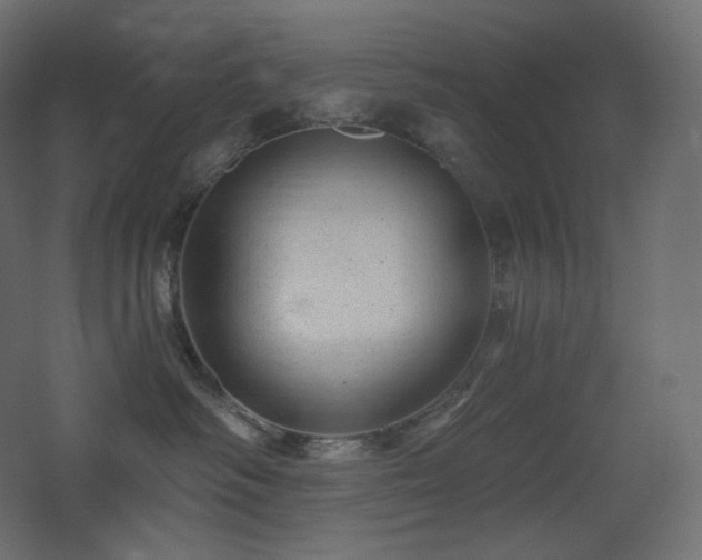 X0000068280334200604211117