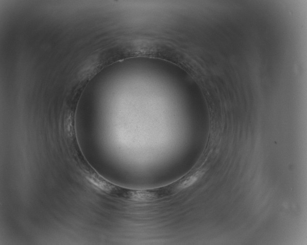 X0000068280336200604211117