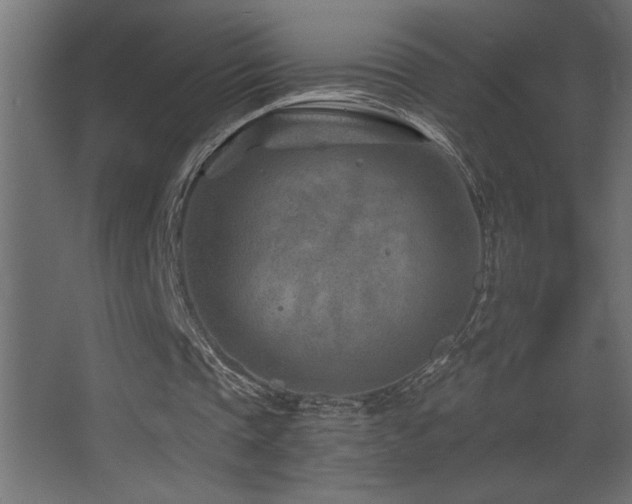 X0000068280337200604211117