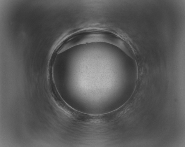 X0000068280344200604211117