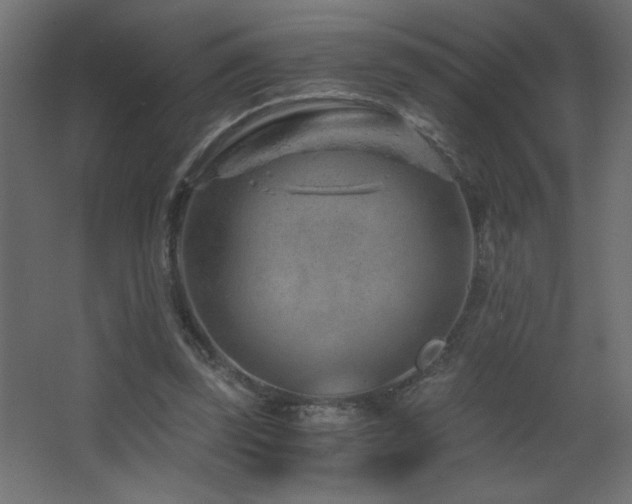 X0000068280347200604211117