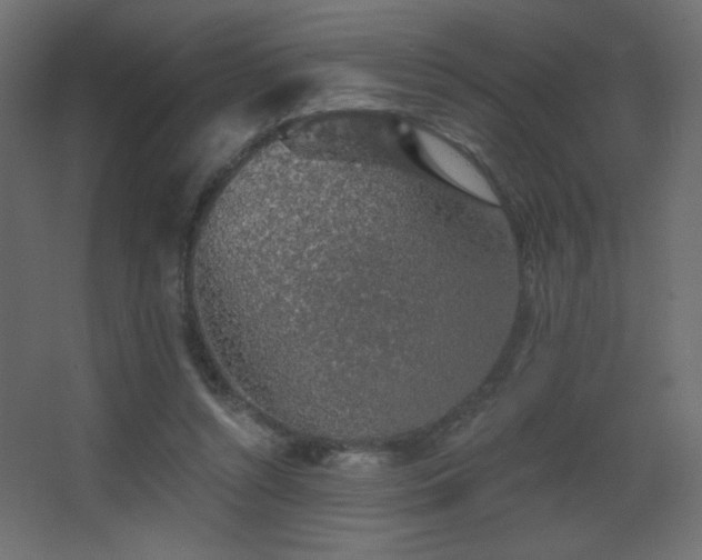 X0000068280352200604211117