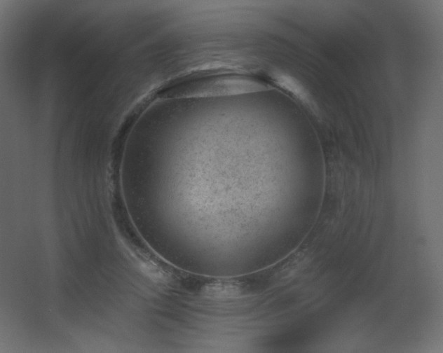 X0000068280354200604211117