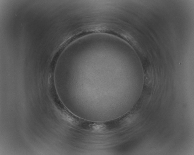 X0000068280355200604211117
