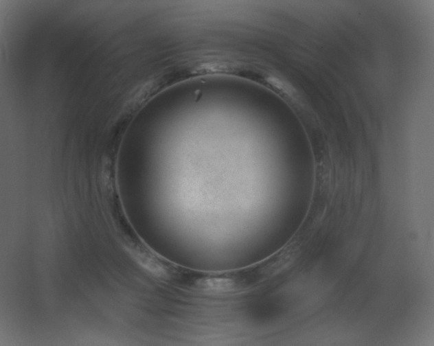 X0000068280361200604211117