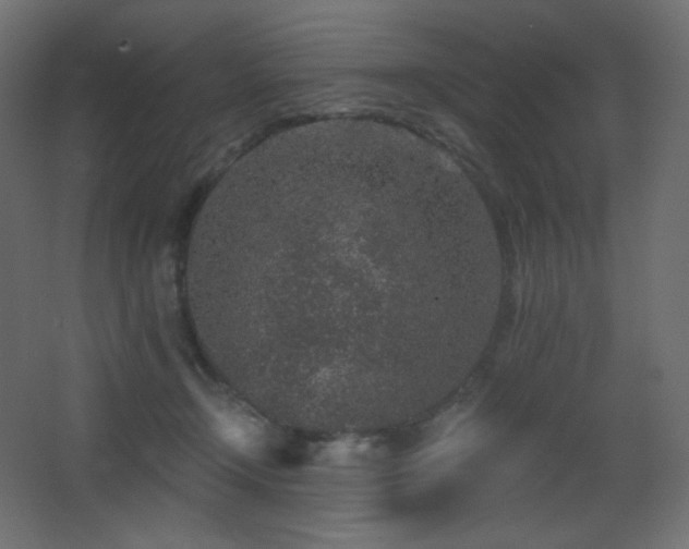 X0000068280366200604211117