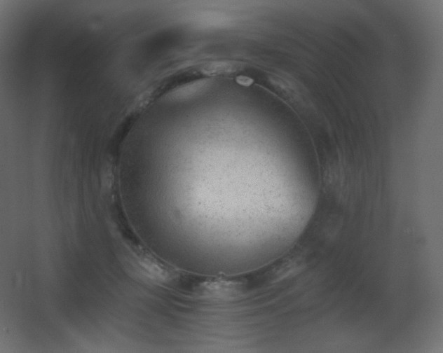 X0000068280367200604211117