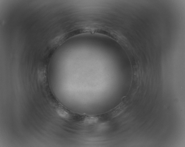 X0000068280369200604211117