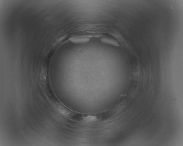 X0000068280374200604211117