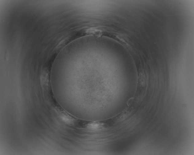 X0000068280375200604211117
