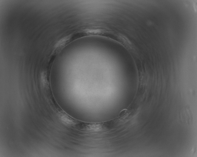 X0000068280377200604211117