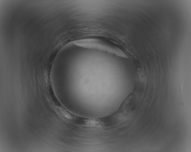 X0000068280380200604211117