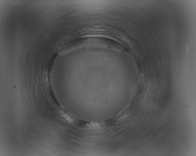 X0000068280381200604211117