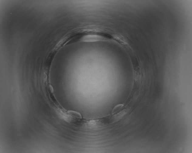X0000068280382200604211117