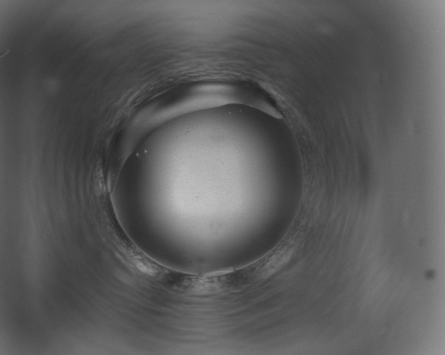 X0000068280384200604211117