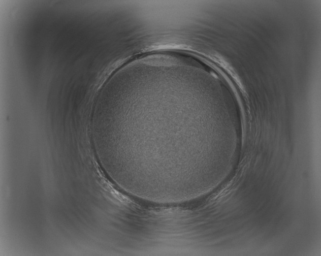 X0000068280385200604211117