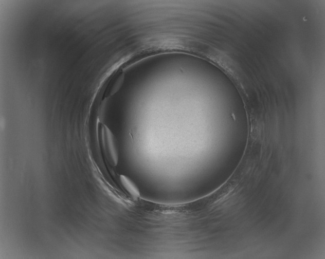 X0000068280390200604211116