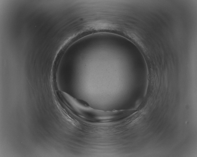 X0000068280391200604211116