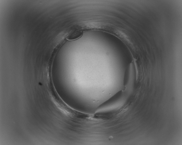 X0000068280398200604211116