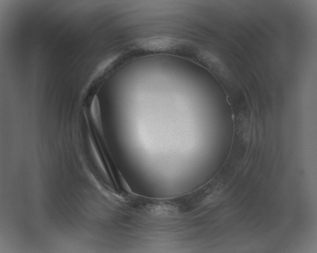 X0000068280400200604211116
