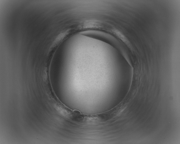 X0000068280401200604211116