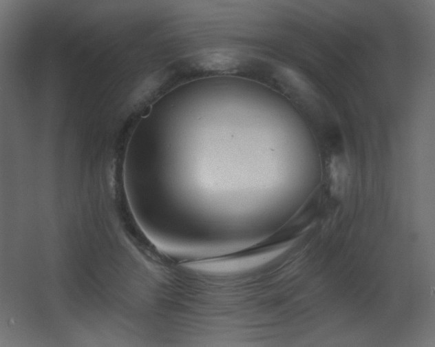 X0000068280404200604211116