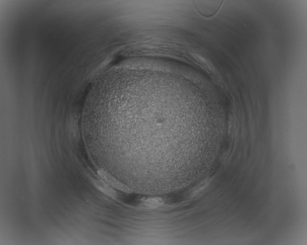 X0000068280409200604211116