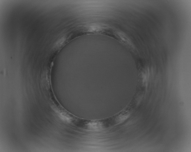 X0000068280415200604211116