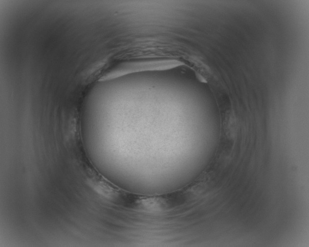 X0000068280417200604211116