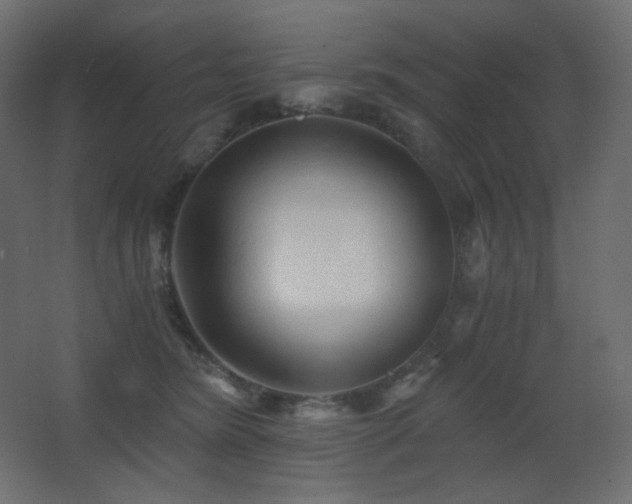X0000068280420200604211116