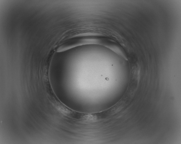 X0000068280421200604211116