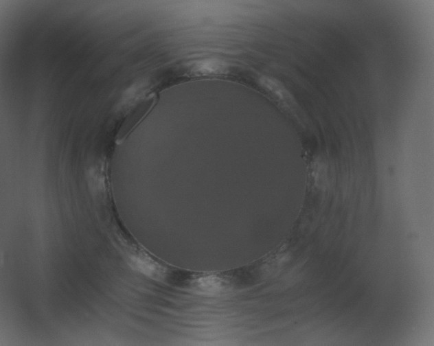 X0000068280423200604211116
