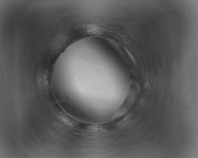 X0000068280424200604211116