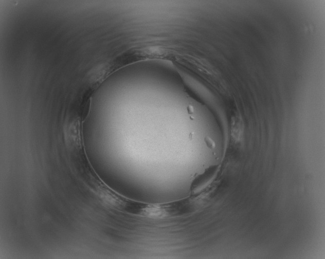 X0000068280425200604211116