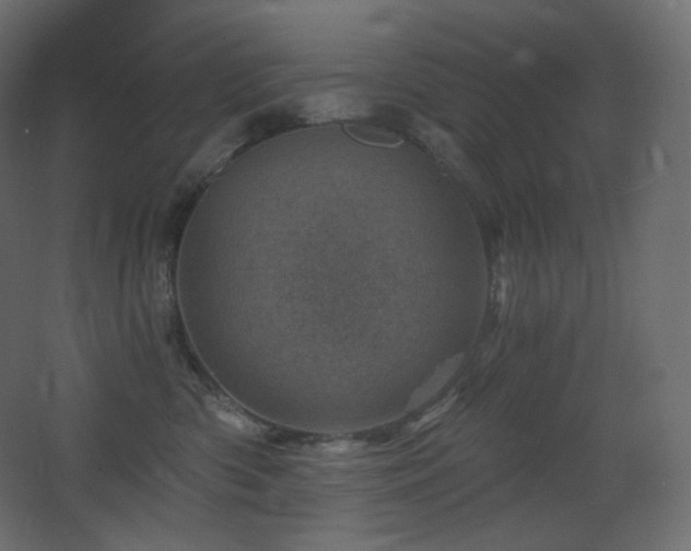 X0000068280426200604211116