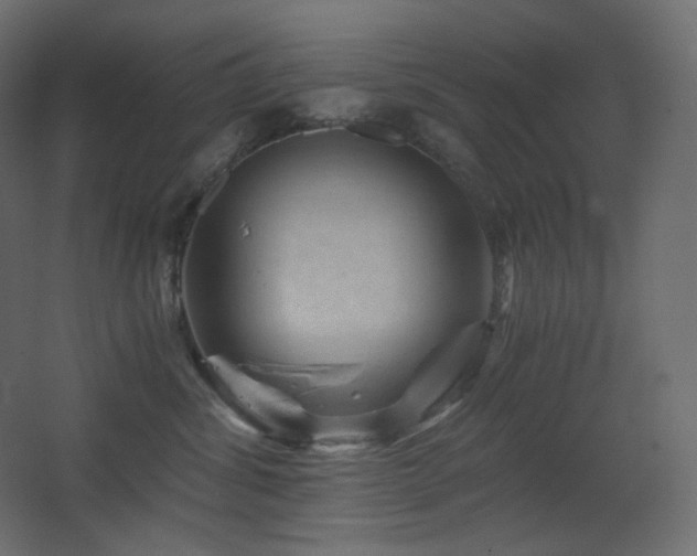 X0000068280428200604211116