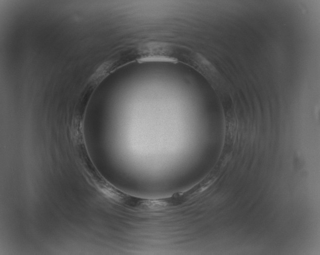 X0000068280429200604211116