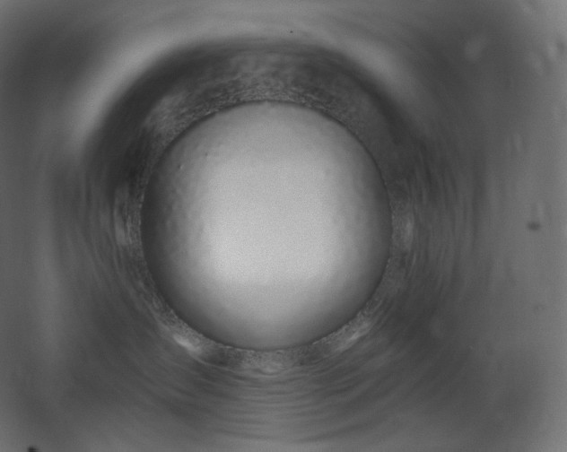 X0000068280431200604211116