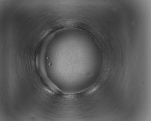 X0000068280432200604211116