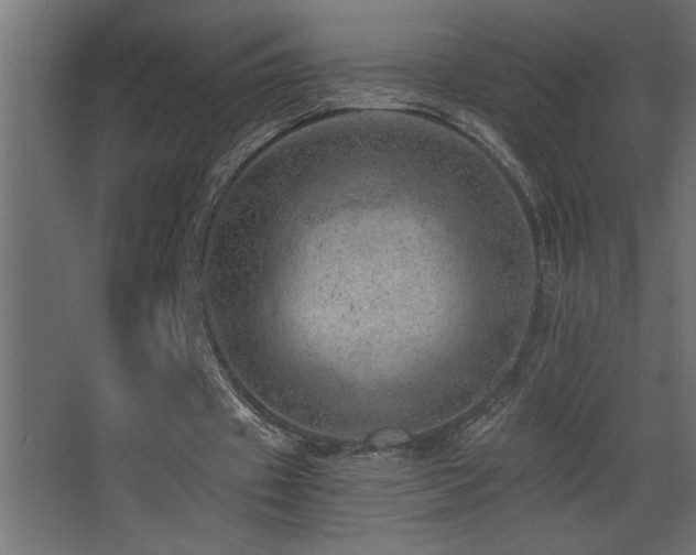 X0000068280433200604211115