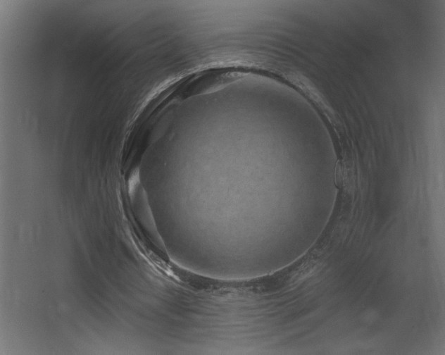 X0000068280434200604211115
